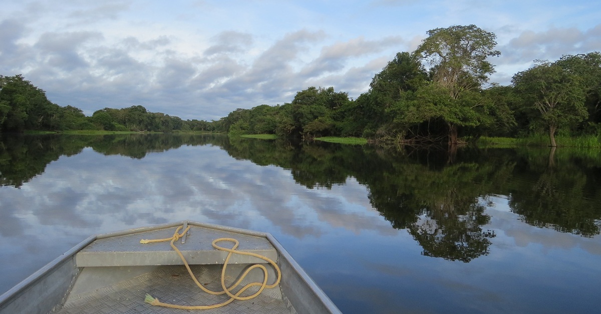 Romeu Zema disponibiliza equipes para auxiliar no combate aos incêndios da Amazônia