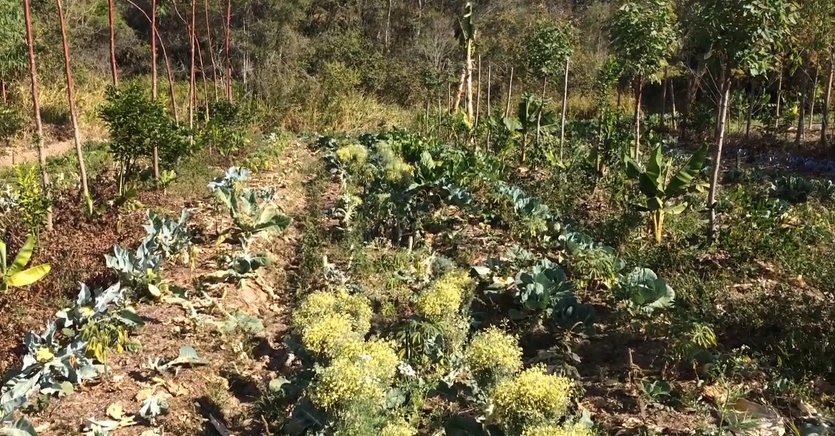 Micro e pequenas empresas do Sul de Minas tem alta em geração de empregos