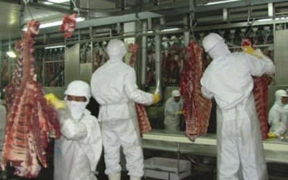 Zema anuncia processo seletivo para contratação de 60 médicos veterinários