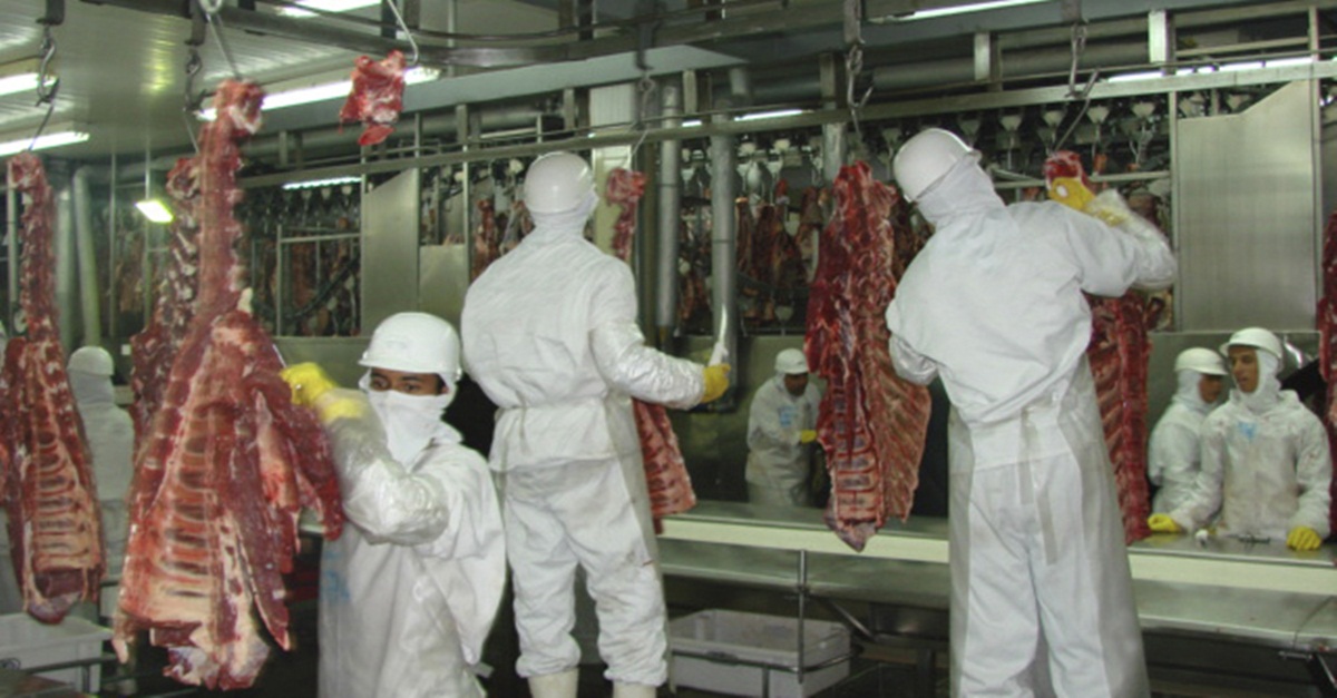 Zema anuncia processo seletivo para contratação de 60 médicos veterinários