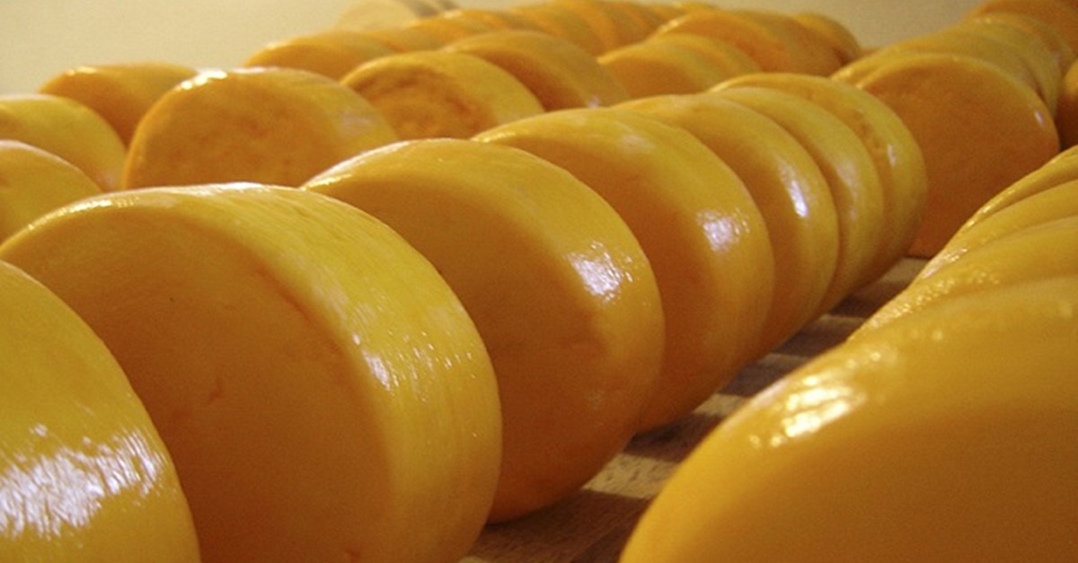 Governo de Minas faz a primeira entrega do Selo Arte a produtores de queijos artesanais