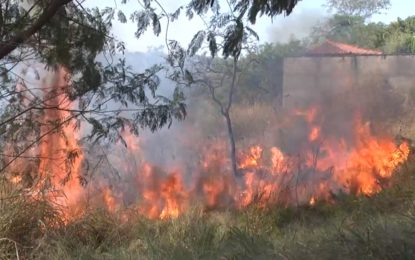 Pesquisa demonstra que queimadas aumentaram 77% em Minas