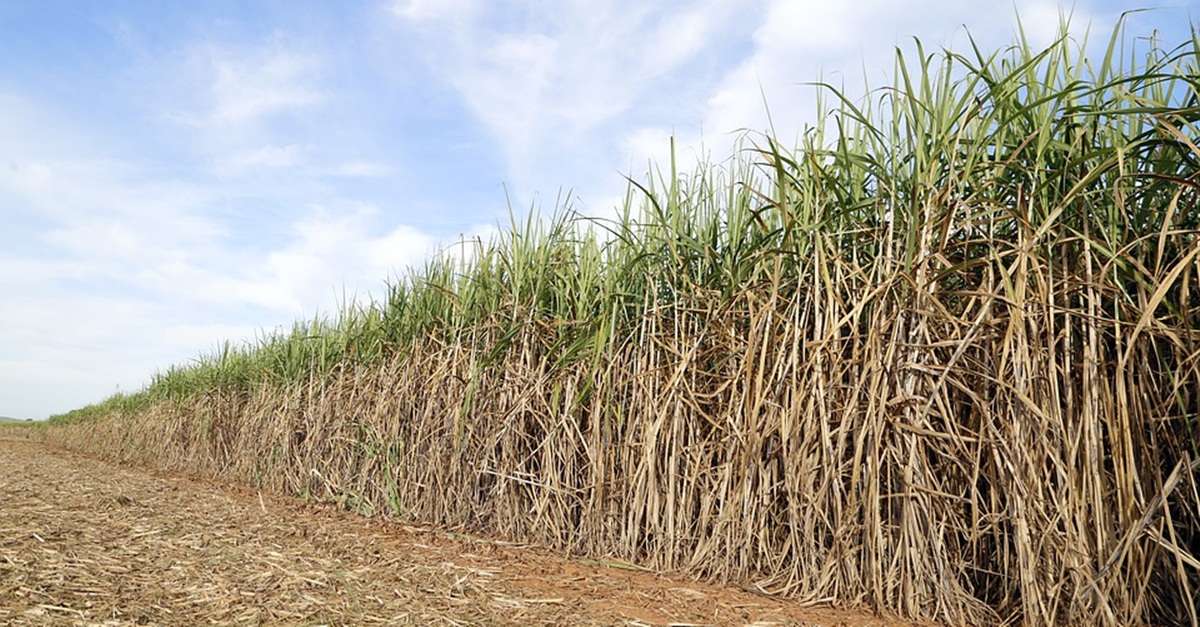 Gasolina declina e consumo de etanol cresce 70% em Minas Gerais