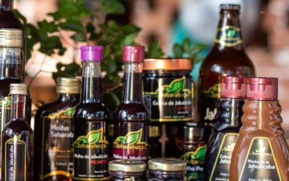 Derivados de jabuticaba produzidos em Minas estão no Mapa das Indicações Geográficas do Brasil