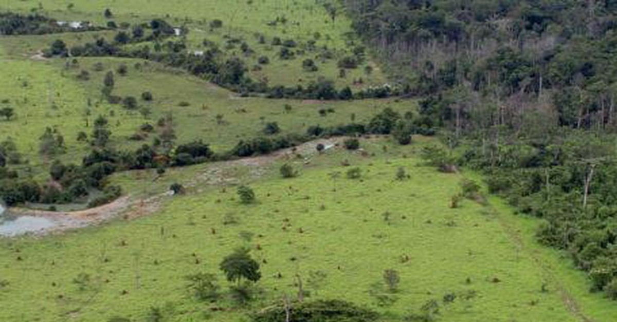 Começa hoje prazo para entrega da declaração de propriedade rural