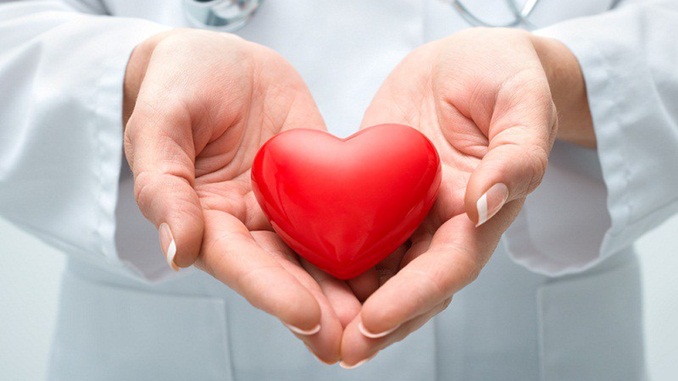 Dia Nacional de Doação de Órgãos: a importância de falar sobre isso com a família