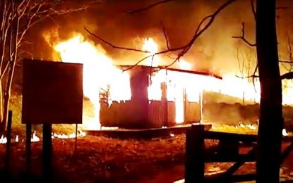 Incêndio queima pelo menos 40 hectares do Parque Estadual Pau Furado, no Triângulo