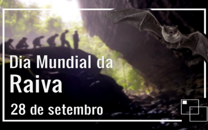 IMA combate raiva animal em todo o estado