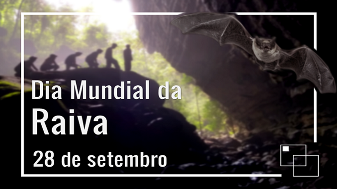 IMA combate raiva animal em todo o estado