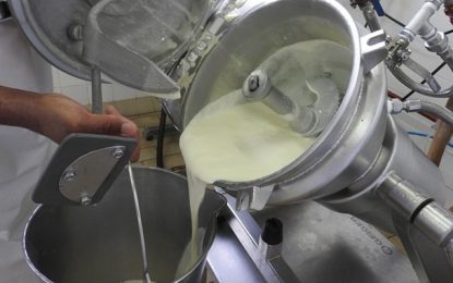 Epamig ILCT realiza pesquisas para a criação de requeijão funcional