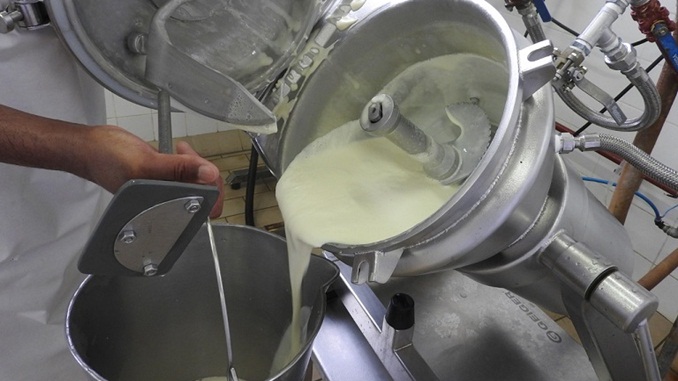 Epamig ILCT realiza pesquisas para a criação de requeijão funcional