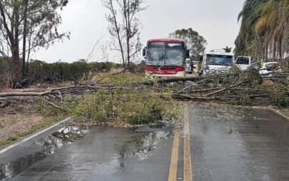 Chuva deixa estragos em casas e ruas de Serrania, no Sul de Minas