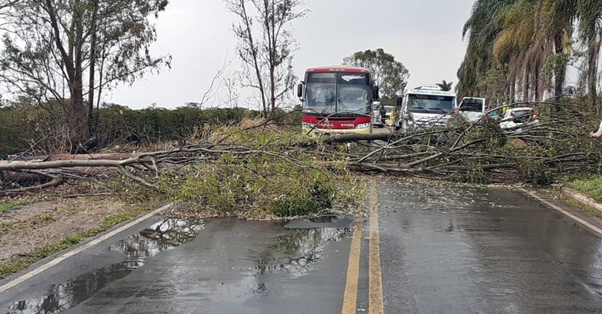 Chuva deixa estragos em casas e ruas de Serrania, no Sul de Minas