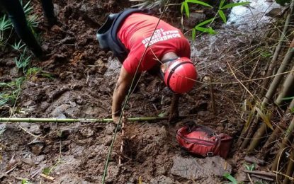CPI de Brumadinho pede indiciamento de 22 pessoas