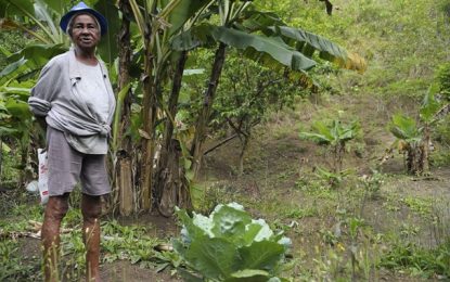 IBGE: campo está mais feminino e mais velho
