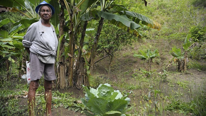 IBGE: campo está mais feminino e mais velho