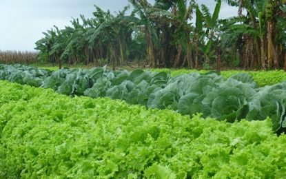 Certifica Minas oferece curso para novos credenciamentos