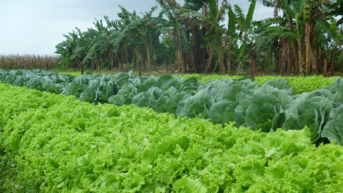 Certifica Minas oferece curso para novos credenciamentos