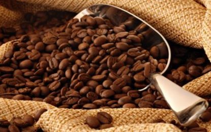 Baixa nos preços do café preocupa produtores de Minas