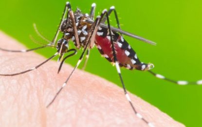 Com confirmação de dois novos casos, Zona da Mata registra 17 mortes em 2019