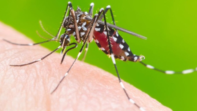 Com confirmação de dois novos casos, Zona da Mata registra 17 mortes em 2019