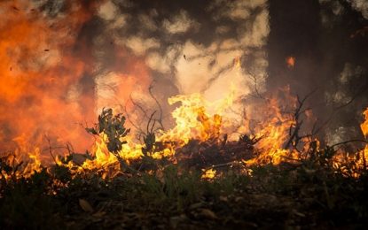 Incêndio em Montes Claros destrói 150 hectares de vegetação