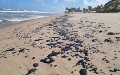 Localidades afetadas pelo vazamento de óleo chegam a 607, segundo Ibama