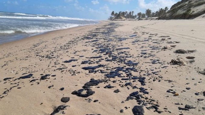 Localidades afetadas pelo vazamento de óleo chegam a 607, segundo Ibama