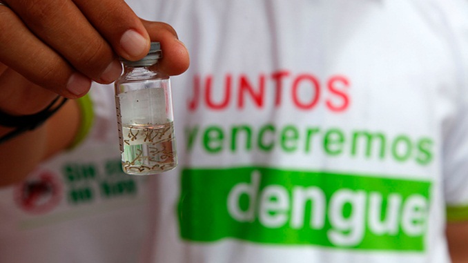 É hora de agir contra mosquito da dengue, zika e chikungunya