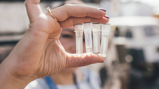 MINUTO DA SAÚDE: Segunda infecção pela dengue pode ser mais grave, alerta médico da Fiocruz