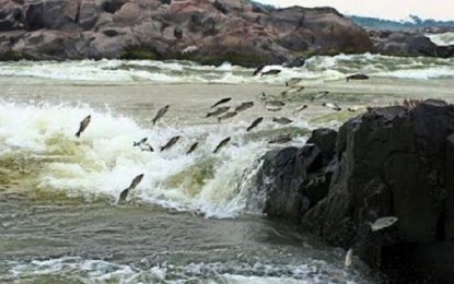 Pescadores de Piumhi recebem capacitação sobre período da Piracema