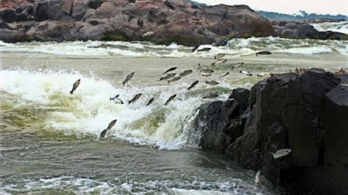 Pescadores de Piumhi recebem capacitação sobre período da Piracema