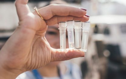 Poder público e cidadãos devem agir juntos para combater o mosquito transmissor da dengue, zika e chikungunya