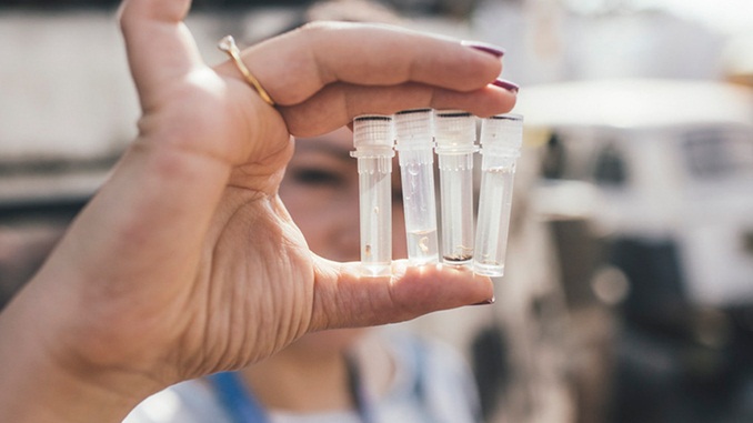 Poder público e cidadãos devem agir juntos para combater o mosquito transmissor da dengue, zika e chikungunya