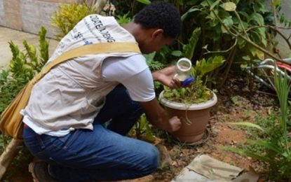 Mais de 200 municípios mineiros estão em alerta por conta da dengue