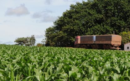 BR-163 é corredor bilionário que aumenta PIB brasileiro