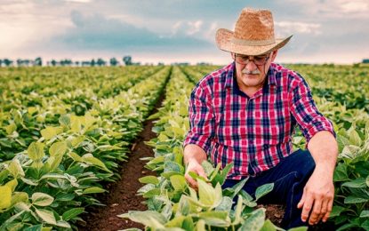 22 mil agricultores familiares recebem pagamento do Garantia-Safra
