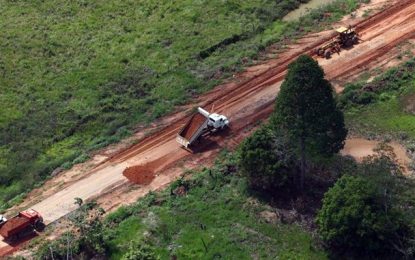 Governo federal pretende asfaltar BR-319