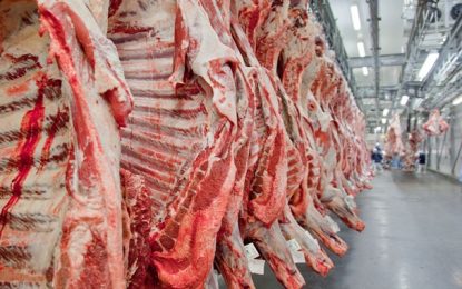 Com alta dos preços da carne, inflação deve ficar em 0,81% em dezembro