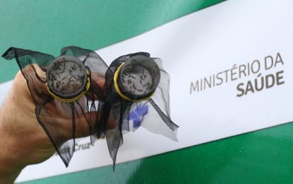 Mosquitos com bactéria são arma de combate à dengue