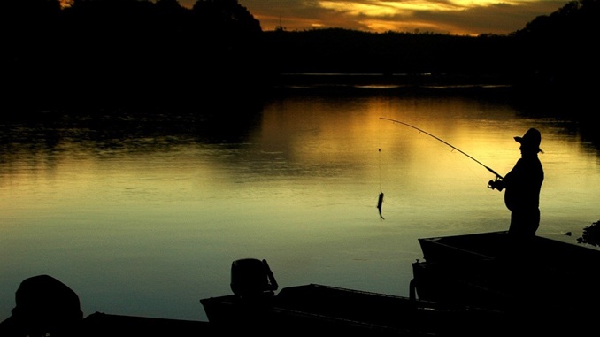 IEF altera as formas de emissão de Carteira de Pesca Amadora e Desportiva