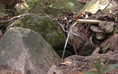 Programa de proteção de nascentes realiza atividades e análise de água em Paracatu
