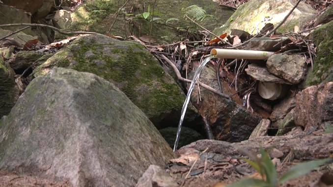 Programa de proteção de nascentes realiza atividades e análise de água em Paracatu