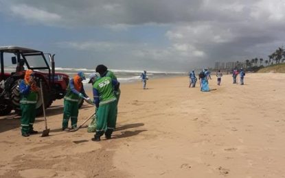 Grupo que monitora óleo no litoral brasileiro afirma que situação é estável