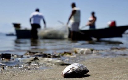 Pescadores afetados pela mancha de óleo começarão a receber auxílio emergencial nesta segunda-feira (16)
