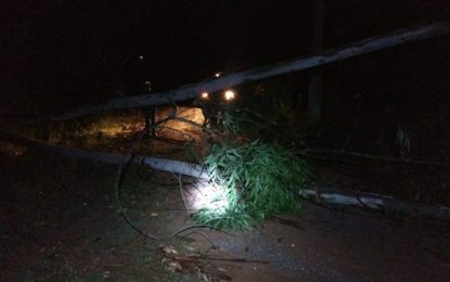 Forte chuva destelha casas, em Pinheiro Grosso