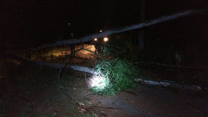 Forte chuva destelha casas, em Pinheiro Grosso