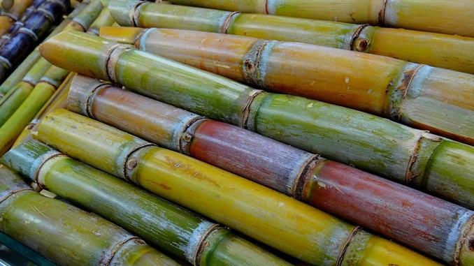 Consumo de etanol hidratado continua em alta no estado