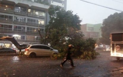Chuvas em Minas Gerais já causaram 55 mortes