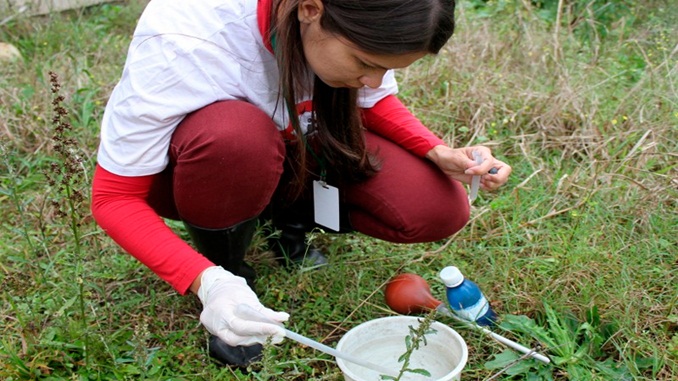 Mais de 130 mil casos prováveis de chikungunya são registrados no país